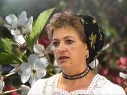 Image result for rafila barbos