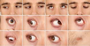 Leslie High Res Skin Texture Photo Set by 3d-sk