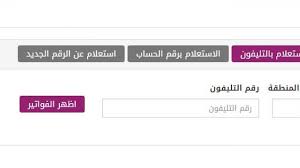 يمكن الاستعلام عن فاتورة التليفون الأرضي إبريل 2021 الأن عبر موقع الشركة المصرية للاتصالات، والتى تقوم. Ø§Ù„Ø§Ø³ØªØ¹Ù„Ø§Ù… Ø¹Ù† ÙØ§ØªÙˆØ±Ø© Ø§Ù„ØªÙ„ÙŠÙÙˆÙ† Ø§Ù„Ø§Ø±Ø¶ÙŠ Ù„Ø´Ù‡Ø± ÙŠÙˆÙ†ÙŠÙˆ 2021 Ø¨Ø§Ù„Ø®Ø·ÙˆØ§Øª ÙˆØ·Ø±Ù‚ Ø§Ù„Ø³Ø¯Ø§Ø¯