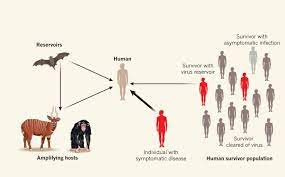 Airborne spread among humans implies inhalation of an infectious dose of virus from a suspended cloud of small dried droplets. Hidden Reservoirs Nature