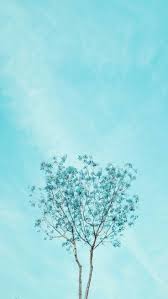 Fondos De Pantalla Fondos De Pantalla Azules Fondos De Pantalla Esteticos Fondos De Pantalla De Primavera