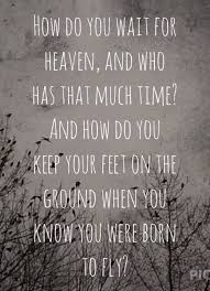 Sara Evans Born To Fly Lyrics Google Search Song Lyrics Art Fly Lyrics Song Lyric Quotes