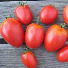 Die schönsten romane bei amazon.de. Tomate Amish Pasta