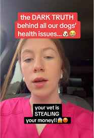 Understanding Dog Health Issues and Pet Care Tips