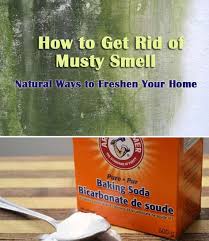 It's not only the toilet that's to blame, but the stagnant water around the sink and condensation from the shower can make musty smells common. How To Eliminate Musty Smelling Basement Odors Musty Smell In House Basement Odor Eliminator Basement Odor