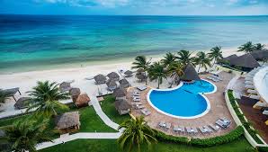 Image result for Melia