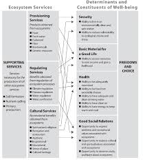 Wellbeing and the Natural Environment: A brief overview of the evidence