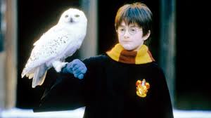 Harry Potter Theory Reveals Which Death Eater Killed Hedwig Heartbreaking New Harry Potter Tumblr Theory Teen Vogue Hedwig harry potter hery potter harry potter comics harry potter characters harry potter wallpaper harry potter wedding harry potter hedwig was an 11th birthday gift from rubeus hagrid to harry. which death eater killed hedwig