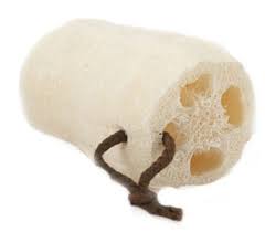 Upper Canada Large Earth Tone Loofah Bath Sponge Tone 6 Pack Of 6 Loofah Bath Sponge Beauty Nails Acrylics