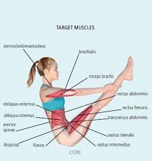 Resultado De Imagen De Paripurna Navasana Yoga Fitness Yoga Steps Yoga Images