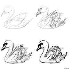 Cartoon Swan Drawing In 4 Steps With Photoshop Free for commercial use no attribution required high quality images. cartoon swan drawing in 4 steps with