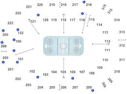 Atlanta Gladiators Vs Greenville Swamp Rabbits Tickets Sun