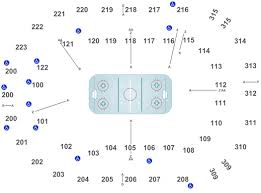 Atlanta Gladiators Vs Greenville Swamp Rabbits Tickets Sun