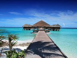 Selain kesejukan dari nuansa alam yang bisa didapatkan darinya, pulau yang satu ini juga memiliki lokasi yang tidak terlampau jauh sehingga dapat dijangkau dengan lebih mudah. Best Places For Corporate Outing In Jakarta Flokq Blog