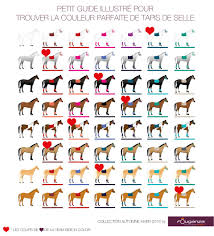 Image Associee Tapis Pour Cheval Couleurs De Tapis Tapis Equitation