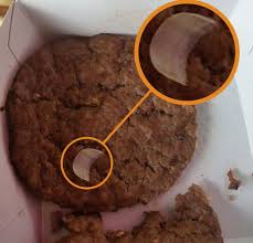 Résultat de recherche d'images pour "human fingernail"