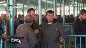 Hayvan Pazari Denizli Youtube