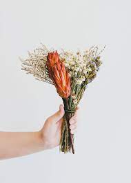Dried Ammobium Flowers Dried Flowers Dried Flower Bouquet Bridesmaid Flowers