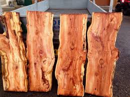 Slabbing Some Yew Wood With A Chainsaw Mill Sanat