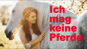 Gardebruk gerätehaus, xxl metall 5m² mit fundament 257x205x177,5cm schiebetür anthrazit geräteschuppen gartenhaus 8,4m³ für 339,95€ bei otto Ich Mag Keine Pferde Youtube