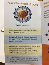 Hepatitis c ditularkan melalui kontak darah dengan seseorang yang terinfeksi hcv. Cåž‹è‚ç‚Žç—…æ¯' ä¼šå¯¹æ‚¨é€ æˆä»€ä¹ˆä¼¤å®³ Health Beauty Wellness And Life Facebook