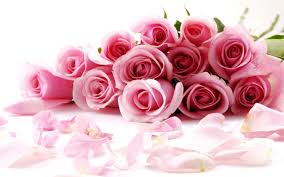 Ve story , love message. Valentine S Day Roses Wallpapers Top Free Valentine S Day Roses Backgrounds Wallpaperaccess