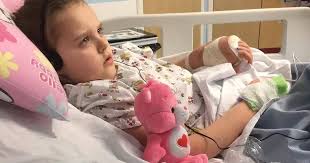 Girl, 8, hospitalised after deadly spider falls from bathroom ceiling and  sinks its fangs into her hand