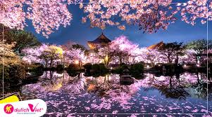 Hãy gọi chúng tôi để được tư vấn. Du Lá»ch Nháº­t Báº£n Mua Hoa Anh Ä'ao Tokyo Hakone Fuji Odaiba Tá»« Sai Gon