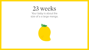 But my niece was born at 33 weeks. 23 Weeks Pregnant Symptoms Tips And More