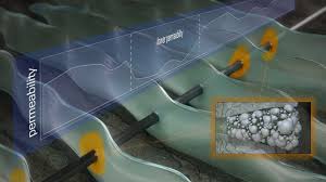 Integrated petroleum services sdn bhd (ips) was incorporated in june 1991 to provide support services to the oil and gas industry in malaysia and the asia pacific region. Schlumberger At Adipec 9 12 November 2020 Schlumberger