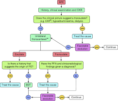 Pleural effusions may result from pleural, parenchymal, or extrapulmonary disease. Diagnostic Decision Algorithm In Bilateral Pleural Effusions Bdt Download Scientific Diagram