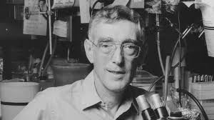 Bruce Ames, 95, Dies; Biochemist Discovered Test for Toxic Chemicals