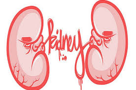 Kawasan keratan rentas bola ditentukan oleh formula s = πr2. Penyakit Ginjal Kronik Apa Itu Lembaga Pers Mahasiswa Sinovia