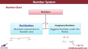 Classification Of Numbers Number Chart