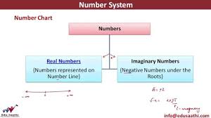 classification of numbers number chart