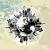 Animated Globe