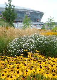 He made 84 appearances for the club, including 64 league appearances, and scored eight goals, four of which came in the league, before moving to ukrainian club shakhtar donetsk. Stadionpark Donbassarena Donetsk Ukraine Fagus Seelemann Landschaftsarchitekten