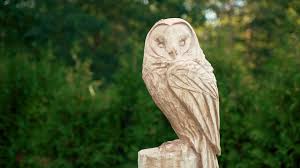 Die eulen (strigiformes) sind eine ordnung der vögel, zu der ungefähr. Anleitung Eule Schnitzen Mit Der Motorsage Video