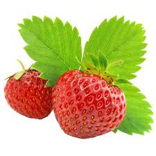 Growing hydroponic strawberries can be an efficient, clean, and fun new way to grow one of your favorite berries from the comfort of. Grow Kit Strawberry Sprigbox
