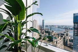 Photos The 36 Most Realistic Zoom Virtual Backgrounds For Business Meetings Page 34 Techrepublic Background Elm City Holiday Home