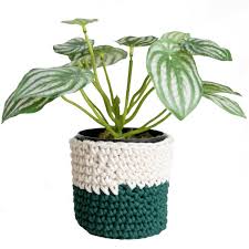 Sign up for uo rewards and get 10% off your next purchase. Planter Cover And Faux Plant Apollobox