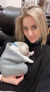 Researching breeders for healthy maltese dogs