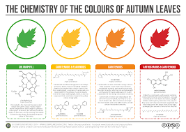 a helpful chart that explains the chemicals that give autumn