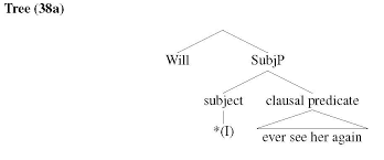Start by understanding just what a hypothesis is! Register Based Subject Omission In English And Its Implication For The Syntax Of Adjuncts
