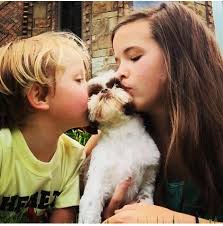 Pet passes away from seizure