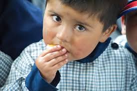 2 0 1 3 A N N U A L R E P O R T