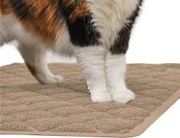 This allows trapping the litter on the mat each time your cat steps in and out of the litter box. How To Keep Your Cat From Tracking Litter All Over The House Home And Garden Napavalleyregister Com