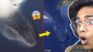 OMG !😲 ये 3 ITEMS जो PUBG COPIED BY FREE FIRE 😱#shorts #shortvideo  #youtubeshorts #freefire #facts