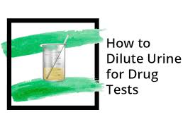 Education is the first step. How To Dilute Urine For Drug Tests Leaf Expert