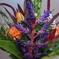Sunrise to sunset, 365 days a year. Kutchey S Flowers In Key West Home Facebook